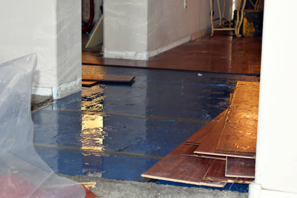 Professional Water Damage Restoration technician working in Mead, CO